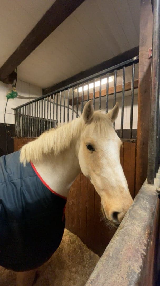 Bild 1 av Golden Girl