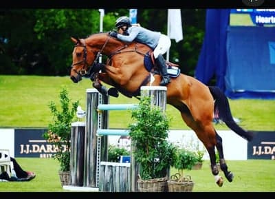 Inlägg 89 av Allround