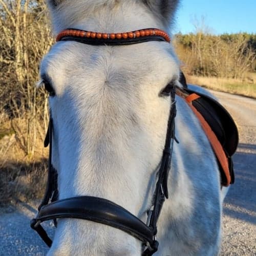Profilbild av Filippa Ohlson