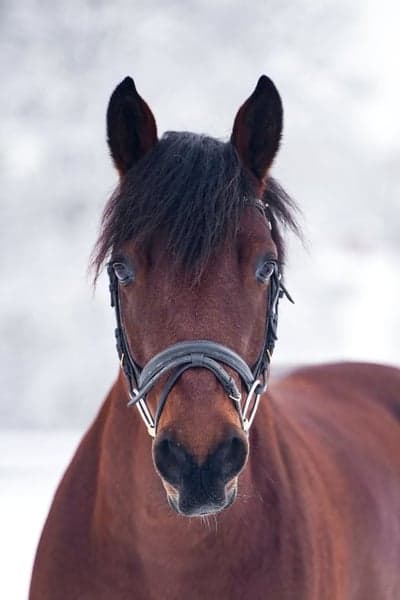 Inlägg 144 av Allround med titeln Förlåt för lång text❤️