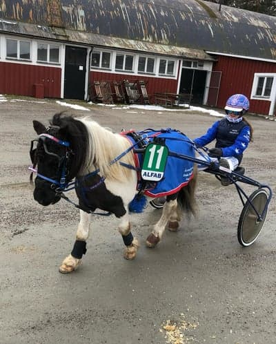 Inlägg 5 av Ponnytrav med titeln Ponnytrav 