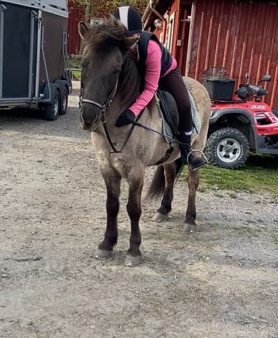 Inlägg 67 av Allround med titeln Red ut på Vindur igår❤️