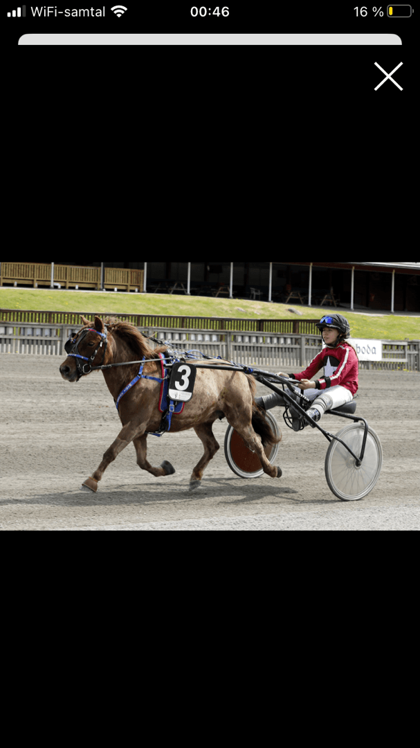 Bild 1 av Öjebos Macbeth