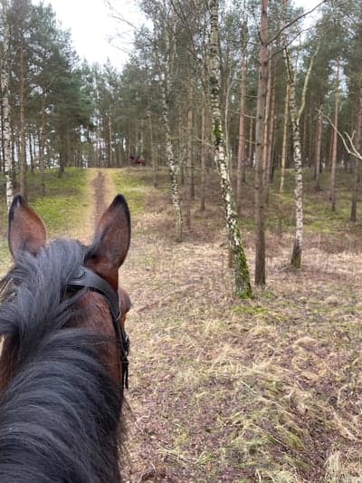 Inlägg 36 av Allround med titeln Cotten höjdrädd, Minna not so much 😅