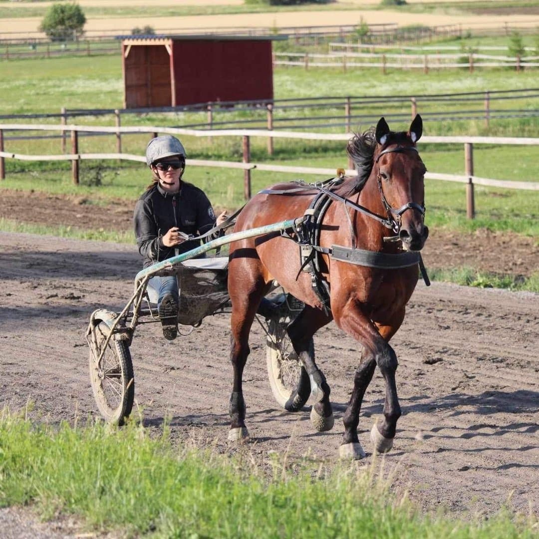 Bild 1 av P.G.Persson