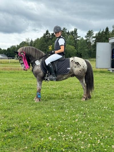 Inlägg 69 av Hoppning med titeln Hopptävling 