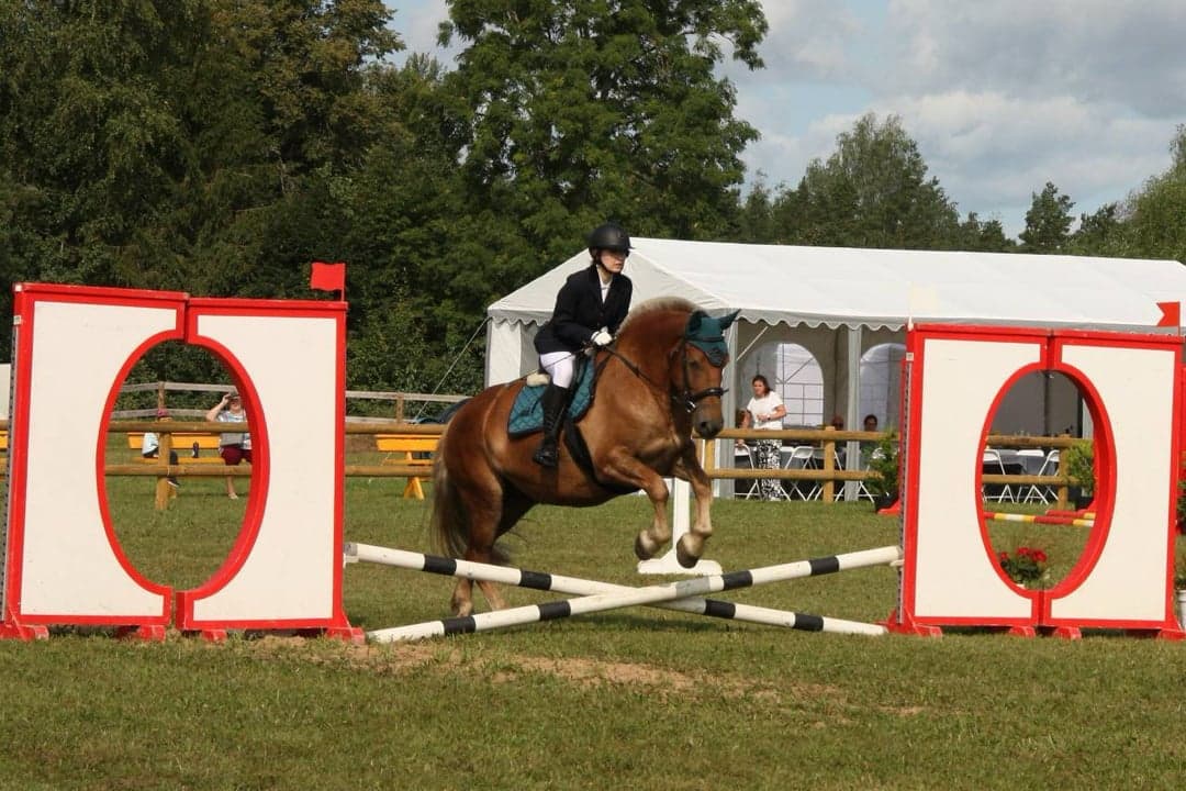 Bild 1 av Valack 6 år