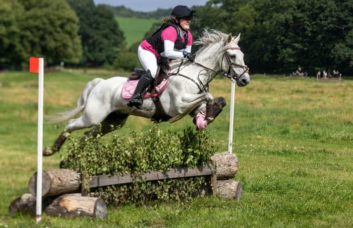 Media 8 of Pollabrandy Prince