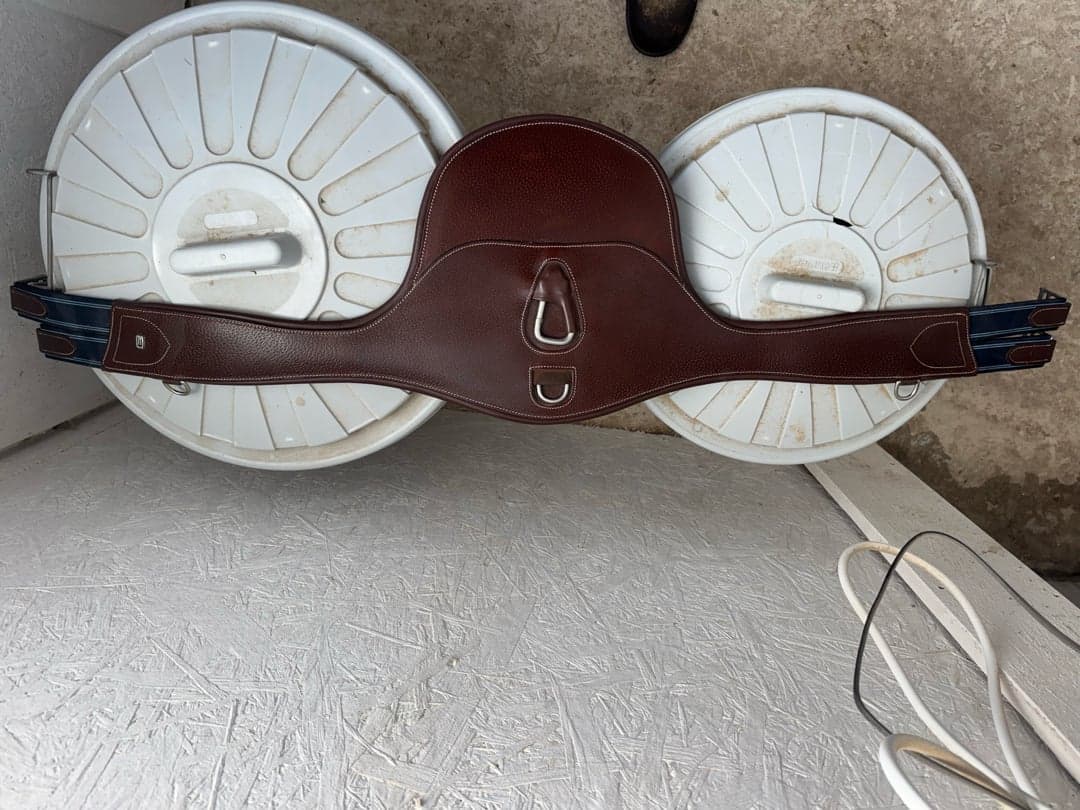 Bild 1 av Brun sadelgjord ifrån Equality Line