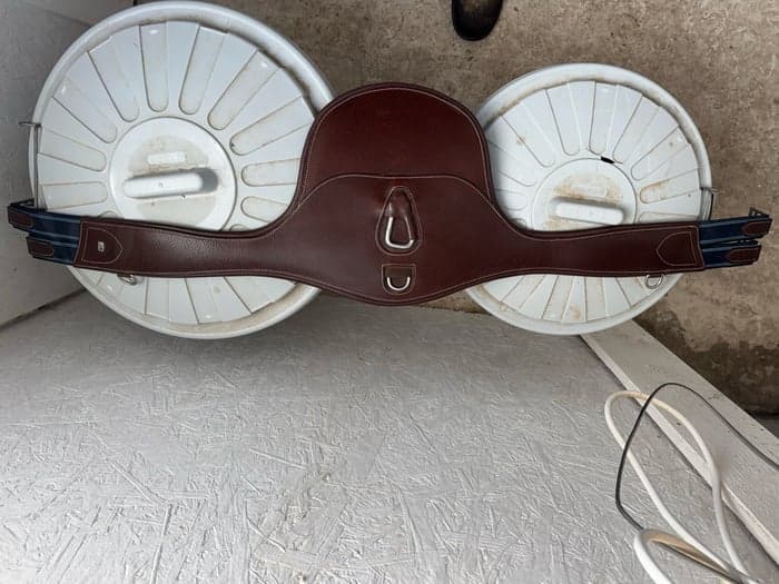 Media 1 av Brun sadelgjord ifrån Equality Line