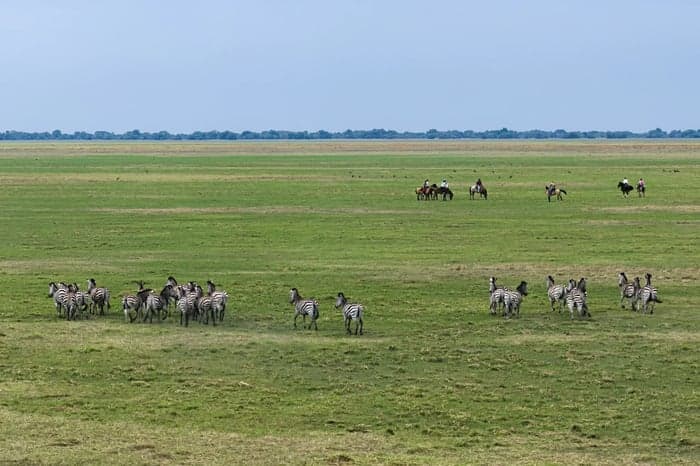 Media 4 av Ridsafari på öppna slätter i Zambia, 5–8 dagar 