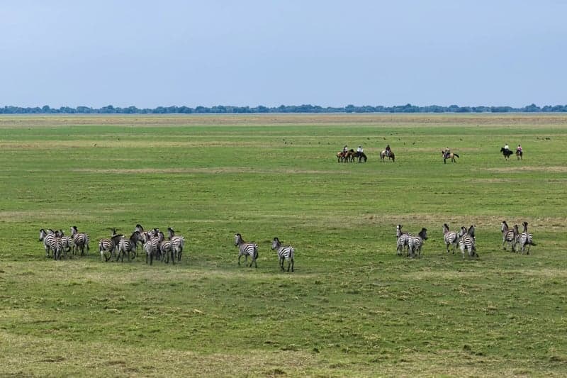 Bild 4 av Ridsafari på öppna slätter i Zambia, 5–8 dagar 