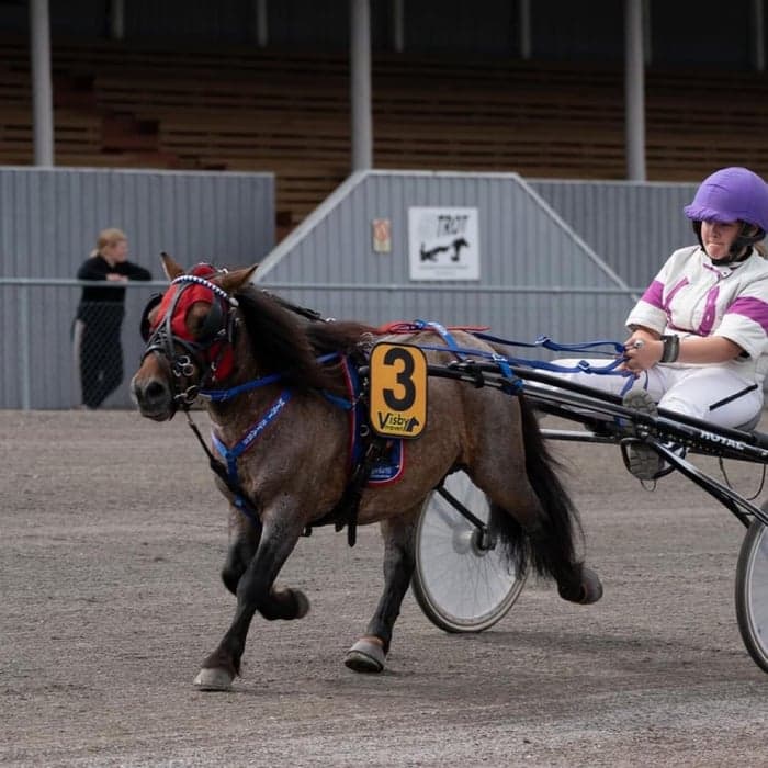 Media 1 av Tusens Lego M