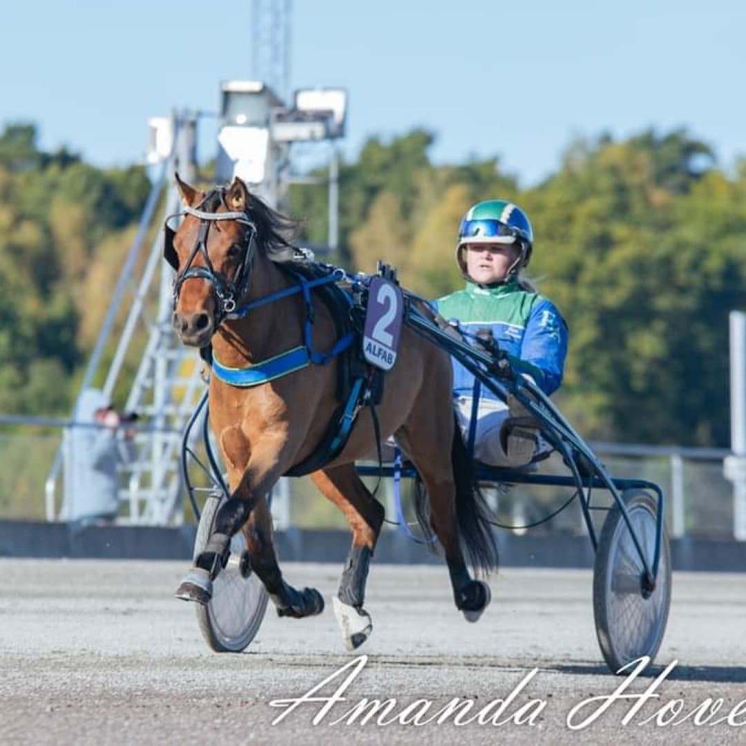 Bild 1 av Eliam G