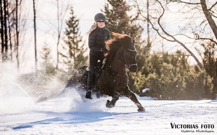 Media 1 av Prins från Wreta