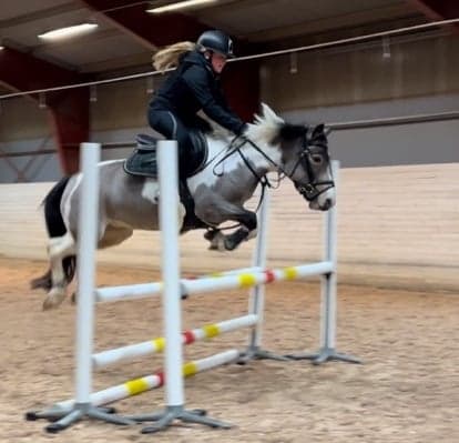 Bild 1 av Cosmic colour