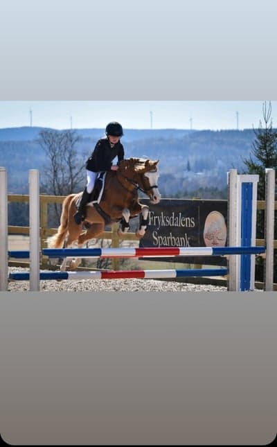 Inlägg 48 av Allround med titeln Paddi❤️🌟