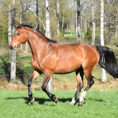 Bild av Sto för framtiden