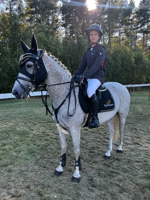 Image of Häftig c-ponny söker ny kompis