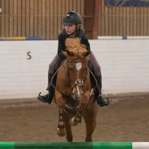 Profilbild av Vega Persson