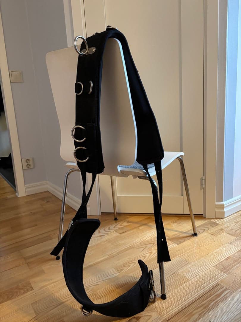 Bild 1 av Svart tömkörningsgjord