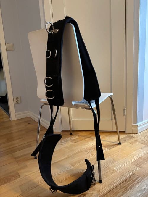 Bild av Svart tömkörningsgjord