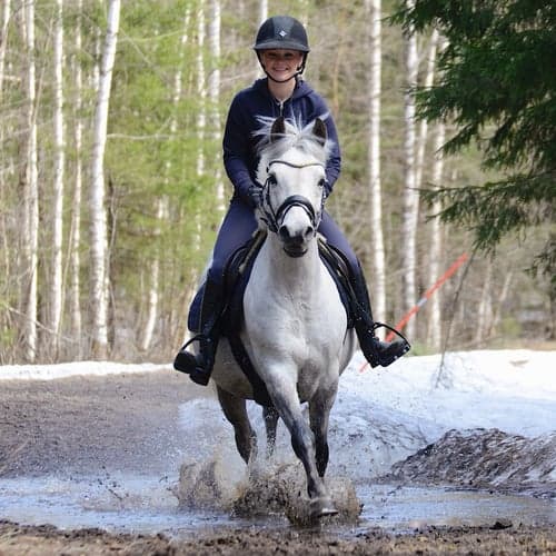 Profilbild av Ida Österberg
