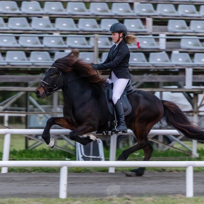 Media 1 av Konráð från Navåsen