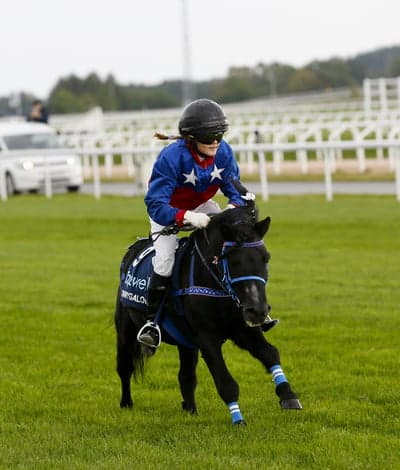 Inlägg 21 av Monté med titeln Ponnygalopp