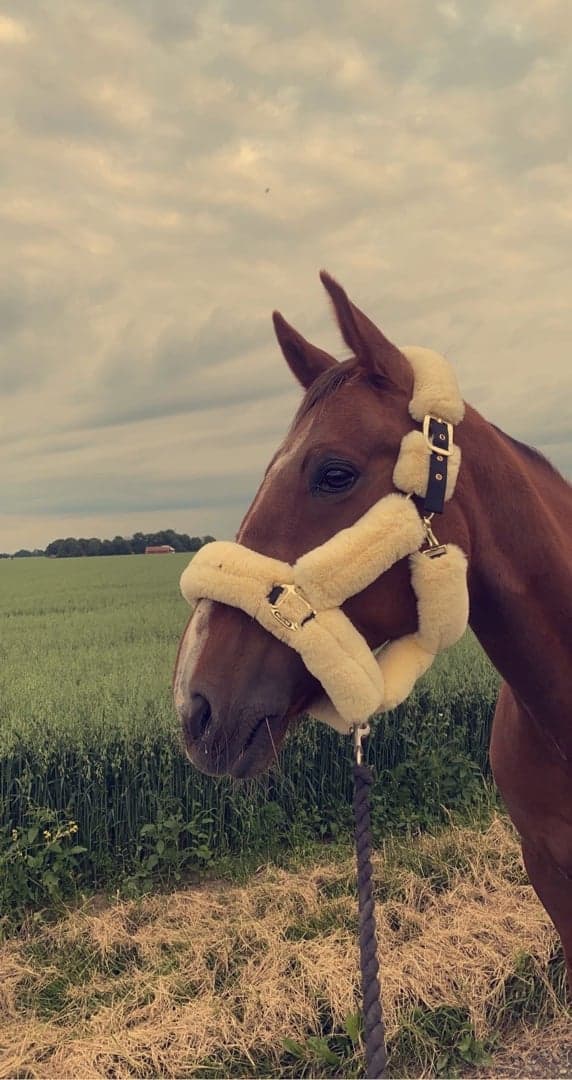 Bild 1 av Power full feeling