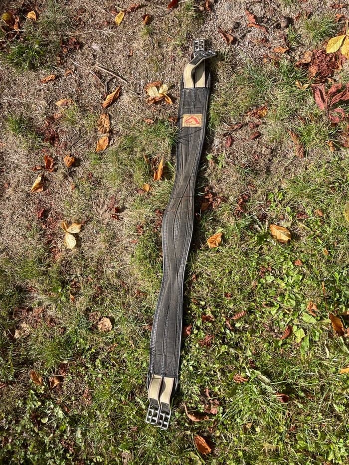 Media 1 av Svart girth