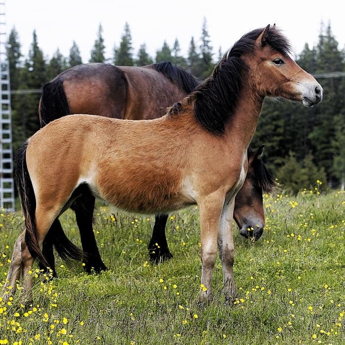 Media 1 av Min Lilla Fri Vilja