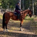 Profile picture of Chalisca