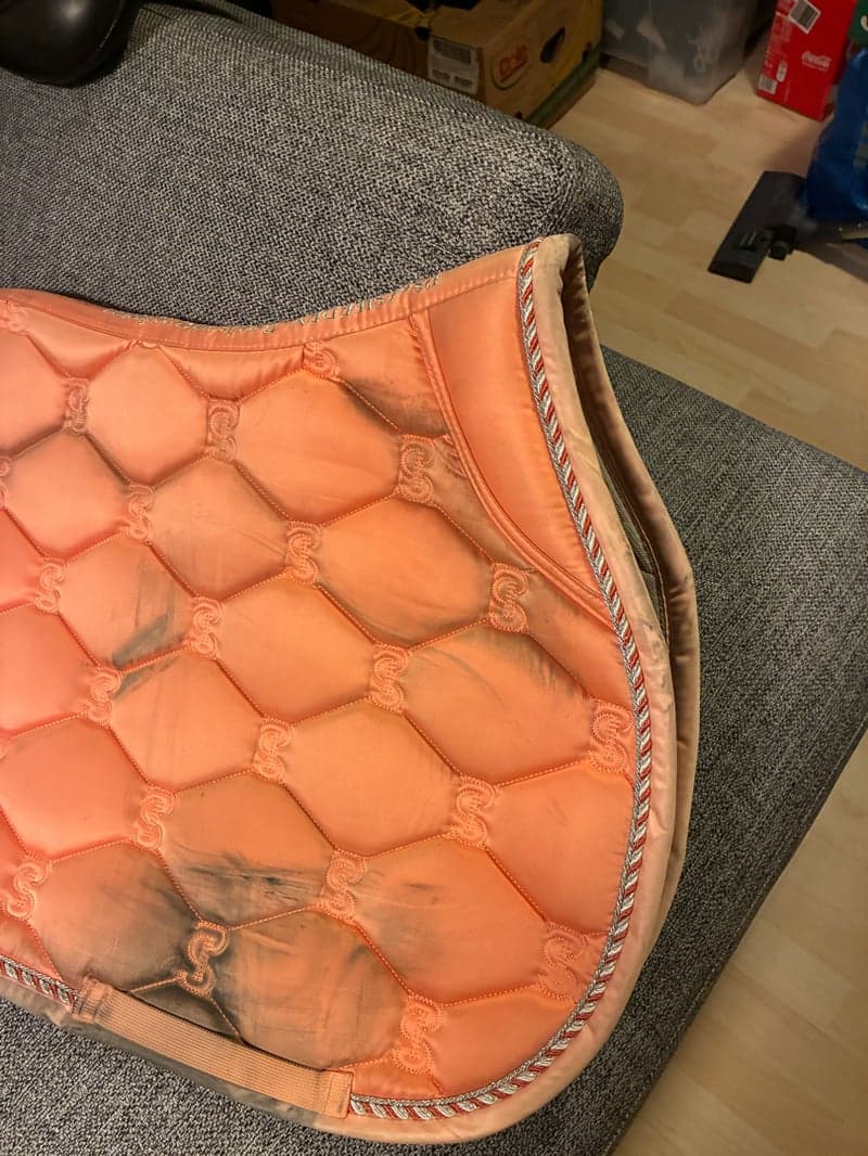 Bild 2 av Ps of sweden hopp schabrak 