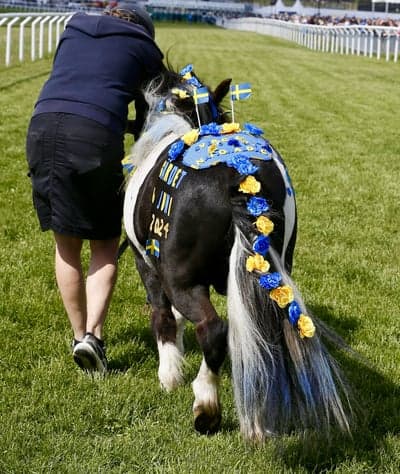 Inlägg 2 av Galopp med titeln Ponnygalopp 