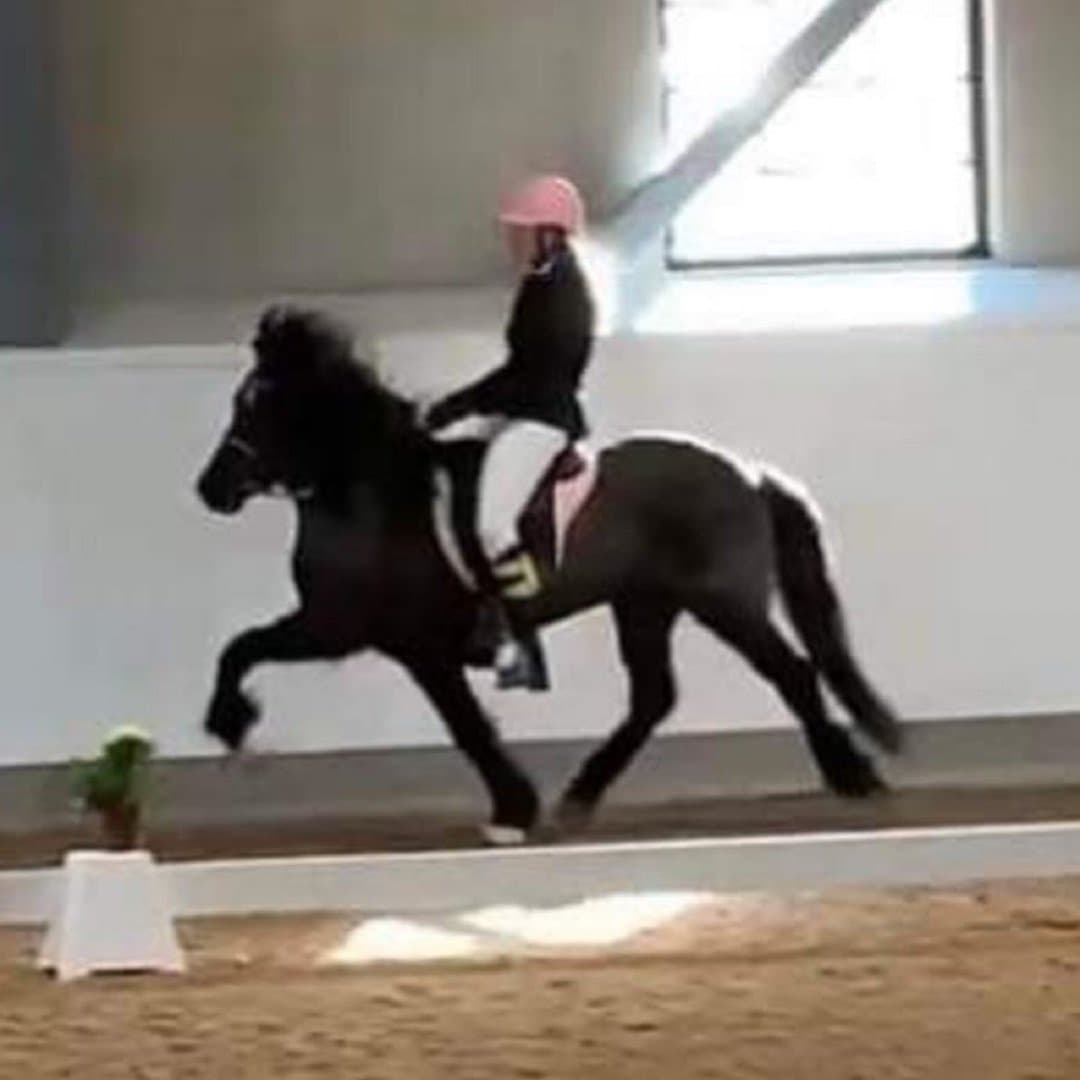 Bild 1 av Orka från gullbringa