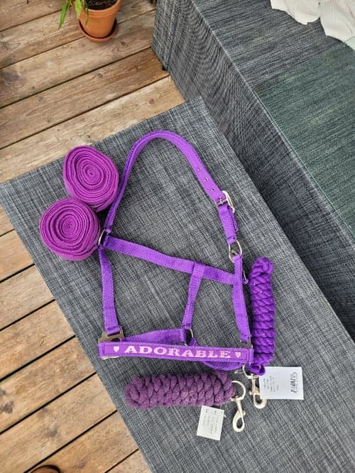 Bild av Purple halter and lead rope