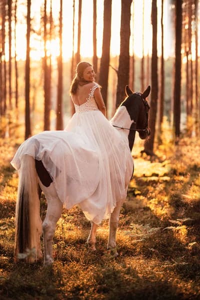 Inlägg 58 av Allround