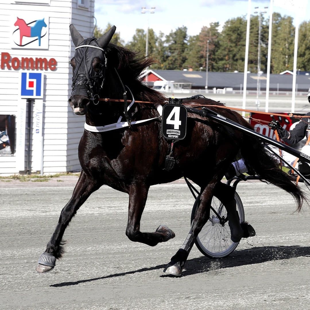 Bild 1 av Norrlands Smaragd