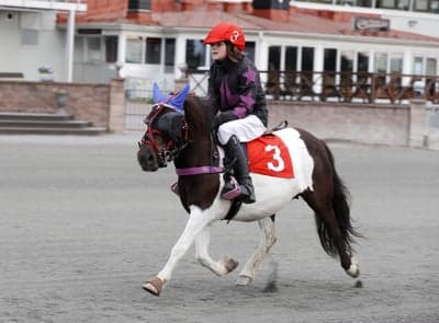 Inlägg 15 av Monté med titeln DPK’s Ponnytravgala 