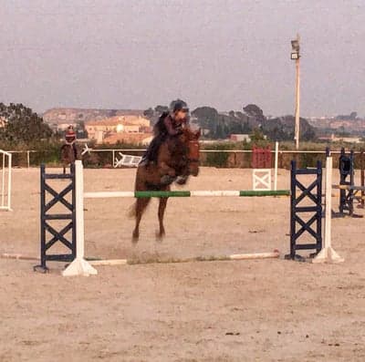 Inlägg 114 av Allround