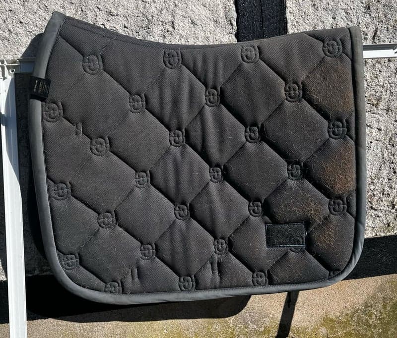 Bild 4 av Blått Equestrian Stockholm COB