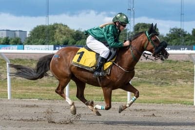 Inlägg 15 av Galopp med titeln Vandas första vinst med ny jockey🤩