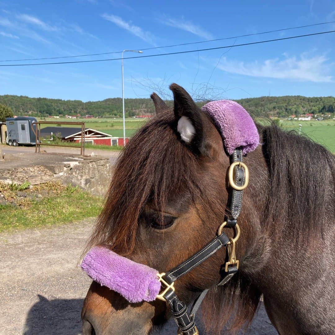 Bild 1 av Miicas flimmra