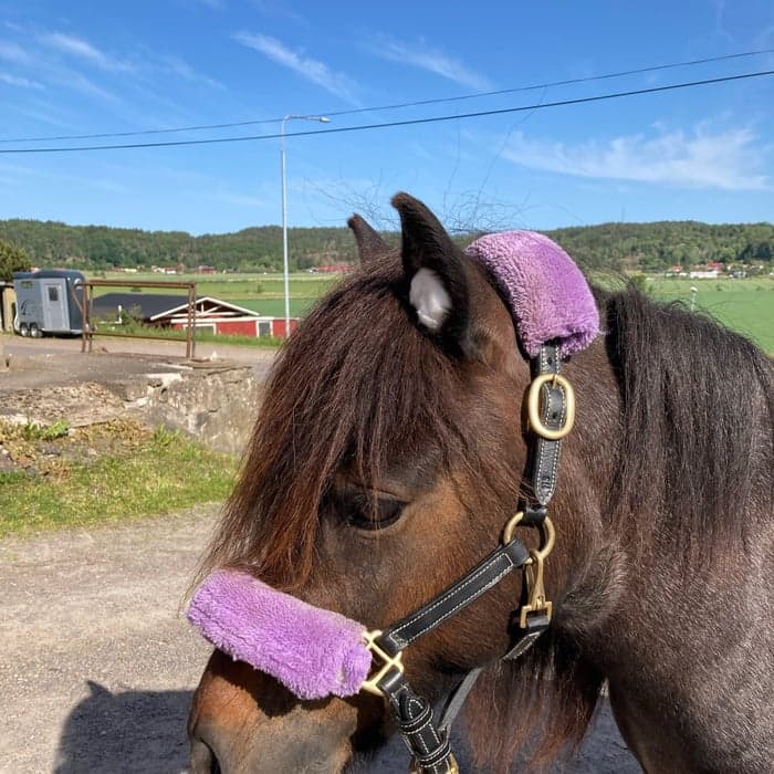 Media 1 av Miicas flimmra