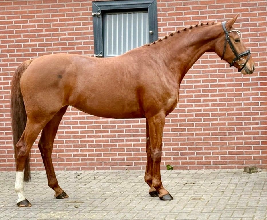 Bild 1 av Dancing Queen