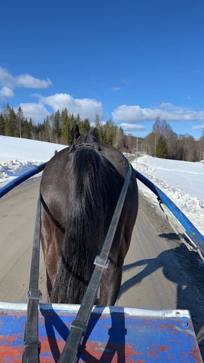 Inlägg 18 av Sportkörning