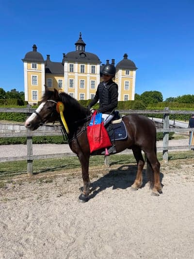 Inlägg 203 av Hoppning med titeln 🥉