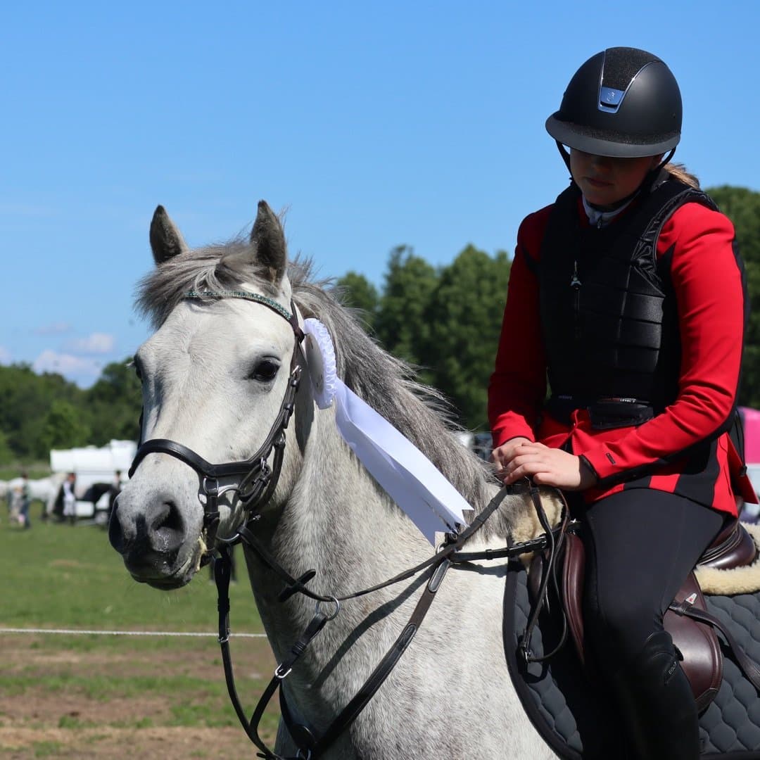 Bild 1 av Ashlawn Ava