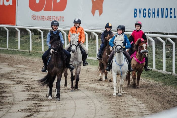 Media 1 av Testa träna galopp på Jägersro